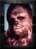 Peter Mayhew